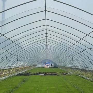 Construction of Single Greenhouse for Hydroponic Seedling