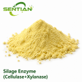 Silage Enzyme Cellulase Xylanase for Forage Fermentation