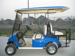 electric golf cart 2 Seats