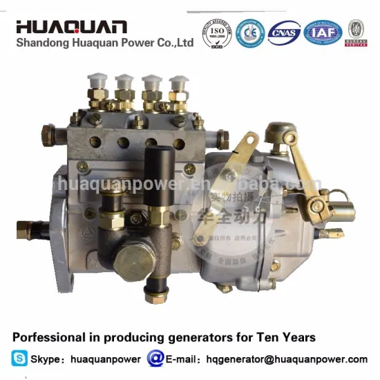 diesel engine fuel pump for 4100D engine generator parts