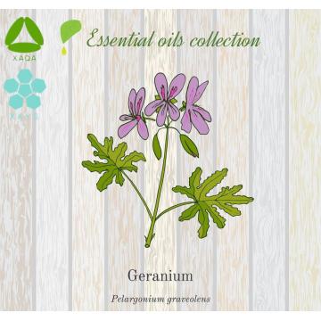Widely Pure Herbal 99% Geranium Extract Essential Oil