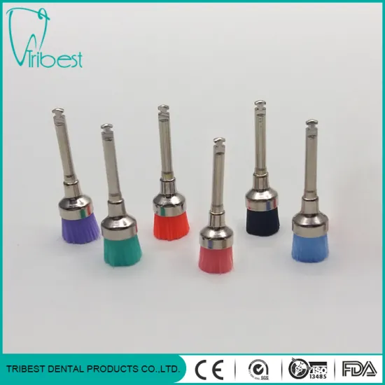 Dental Disposable Bowl Type Colorful Nylon Or Bristle