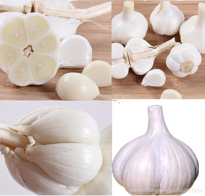 Supply Crop Normal White Fresh Garlic