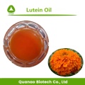 Natural Antioxidants Marigold Flower Extract Lutein Oil liquid 20% Softgel Supplier