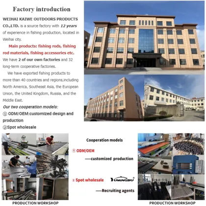 Wholesale Carp Rods 10ft 12ft 13ft 3.25lb 3.5lb Frp Carbon Feeder Carp Fishing Rod