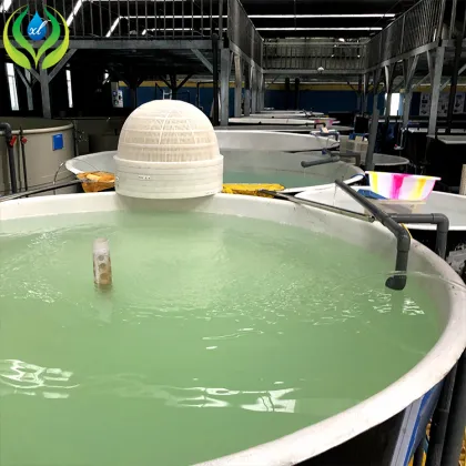 MYXL Aquaponics Greenhouse Fisheries: Fish Farming Equipment and Aquaculture Systems