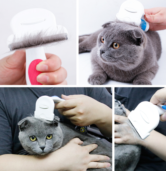 Effective Pet Grooming Brush Tool