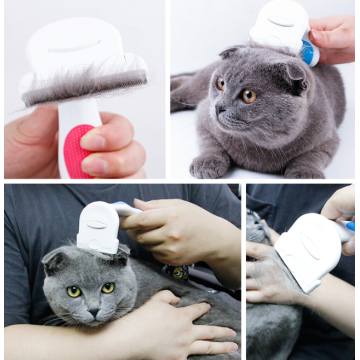 Outil de brosse de toilettage pour animaux de compagnie efficace