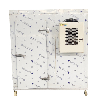 Factory Direct Solar-Powered Coldroom: An Efficient Solution for Preserving Fresh Vegetables