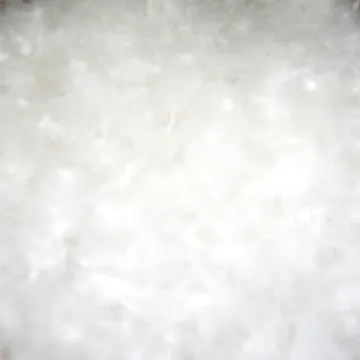 60% Washed White Duck Down, Suitable for Down Shoes