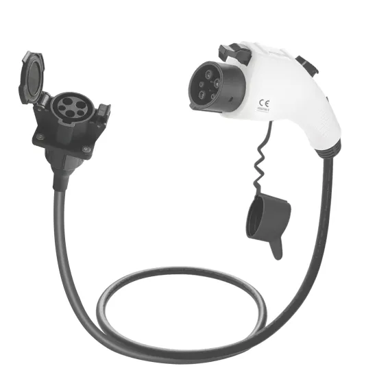 32A 240V T1 EV Charging Cable Type 1 Extension Cord with Socket (SAE J1772)