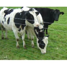 Electric Galvanized Iron Wire Cattle Mesh Fence Livestocks