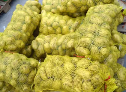 Farm Fresh Potato For Export With Low Price