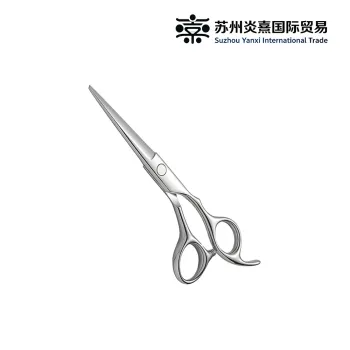 Flat Scissors with Ordinary Material (DSC6352)