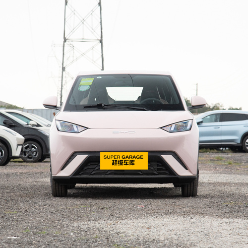 2025 BYD Seagull Pink cu 4 locuri depășește 500.000