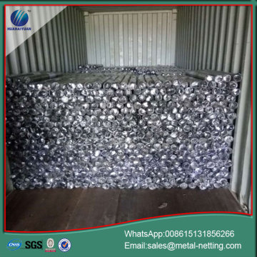 Dawai heksagon mesh galvanized wire chick
