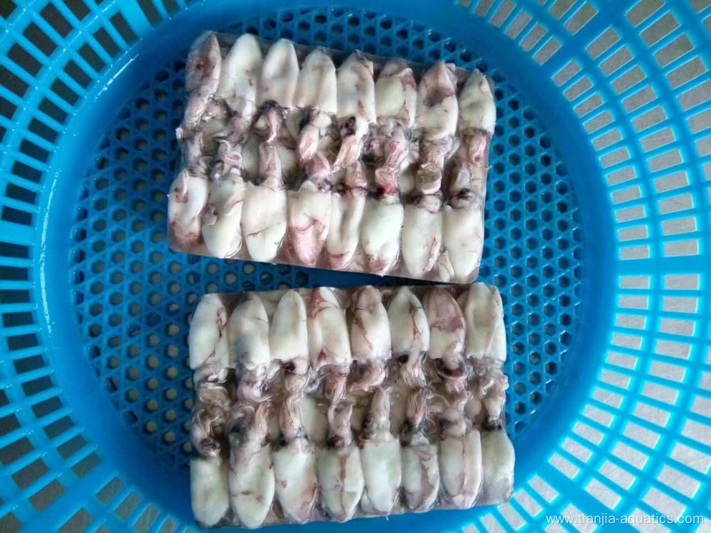 Most fresh caught Loligo Chinesis baby squid