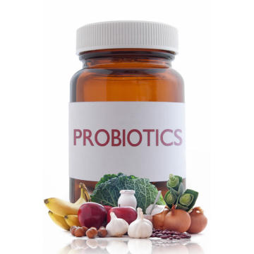 Galacto oligosaccharides GOS Powder prebiotics