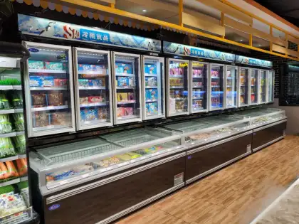 Kenkuhl Commercial Wall Display Combi Freezer for Supermarkets