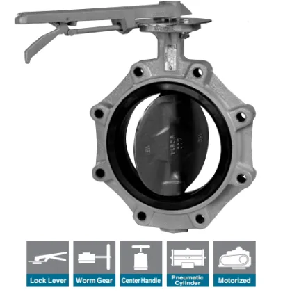 Tomoe Butterfly Valve