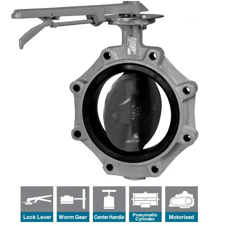 Tomoe Butterfly Valve