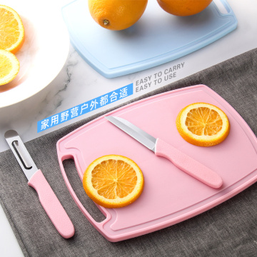 Portable Stainless Steel Fruit Knife and Peeler Set with Mini Chopping Board