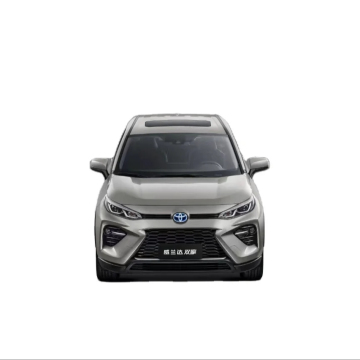 2023 Toyota Wildlander (RAV4) 2.0L 4WD Deluxe Edition SUV - New Car