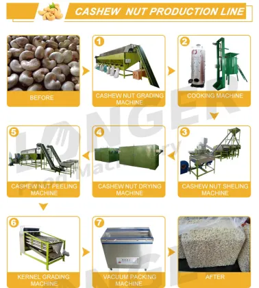 Cashew Nut Processing Machines & Equipment
