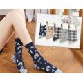 women's autumn winter socks
