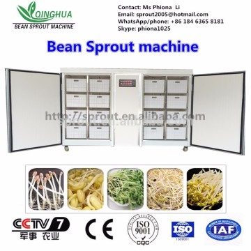 Bean Sprout Machine mung bean soybean sprout machine