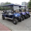 6 carros de golfe elétricos para passageiros para venda