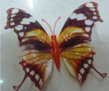 flashing butterfly