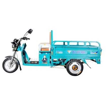 Electric bajaj three wheeler auto rickshaw