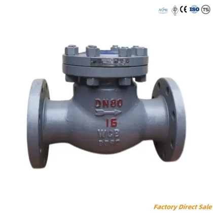 High Pressure Check Valve for Petrochemical Plants: Sizes 6inch PN150, PN300, PN600