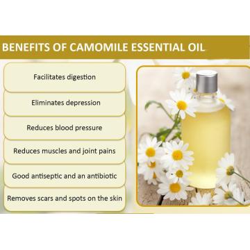 OEM 100% Pure Skin Care Chamomile Essential Oil