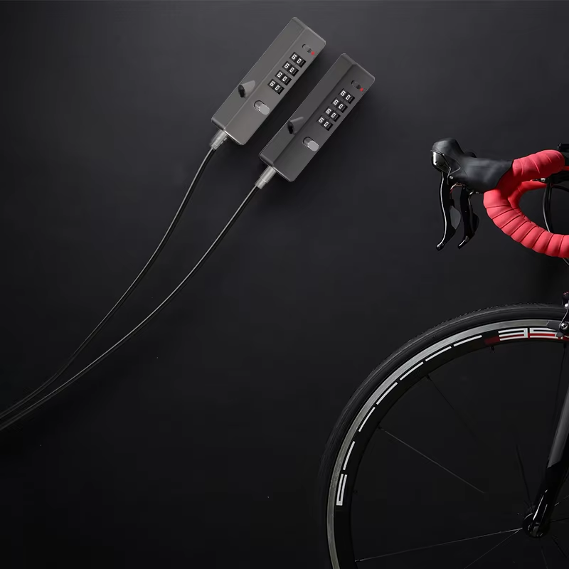 12 2 cable lock