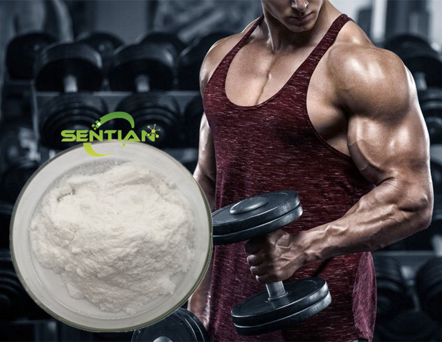 creatine powder