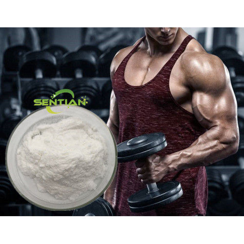 Creatine Monohydrate Creatine Powder