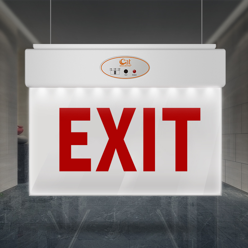 LED Exclity Exit Light