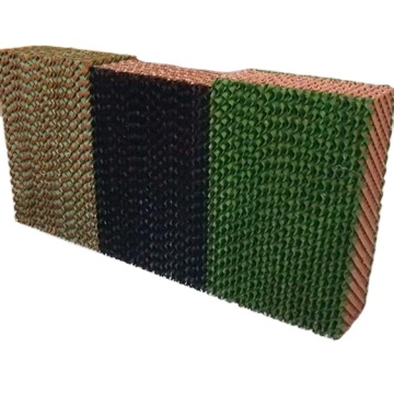 CERIFICATO CELULOSE CELULOSE HASCH CAMPORE EVAPORATIVO PASSO