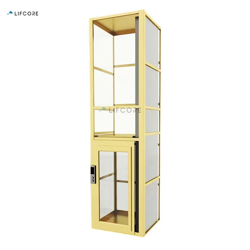 Small Luxury Residential Elevator