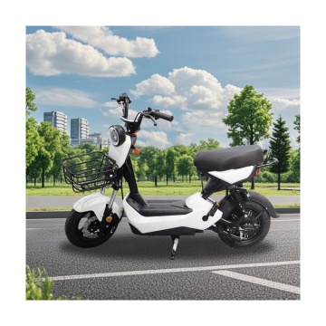 Factory Direct Sales: New Electric Motorcycles & E-Bikes for Food Delivery