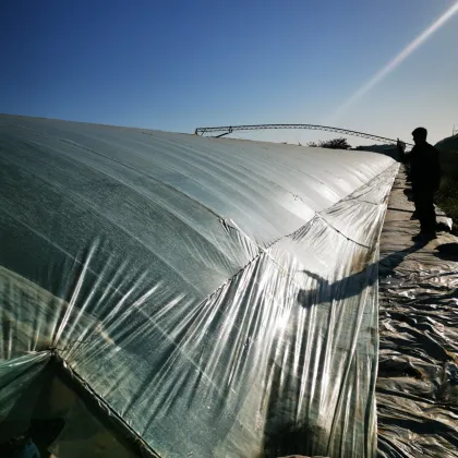 Single-Span Plastic Greenhoue Film Agricultural Plastic Film