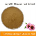 Echinacea purpurea Extract 4％Echinaceaポリフェノール