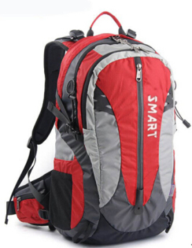Travel Sports Hiking Laptop Bag Trolley School Backpack (SB6782D)