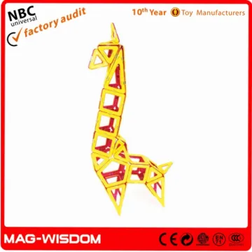 Kids Plastic Building Mag Wisdom Toys