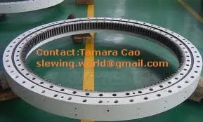 Single-Row Crossed Roller Slewing Bearing