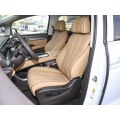 豪华商务电气MPV Denza D9