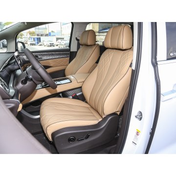 Luxury Business Electric MPV DENZA D9