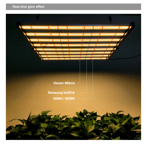 Nowy składany pasek LED Gavita 1700e R światło